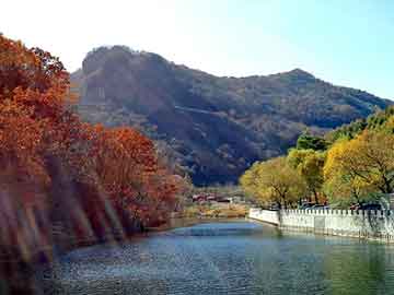 管家婆黑白马报图库，松香报价